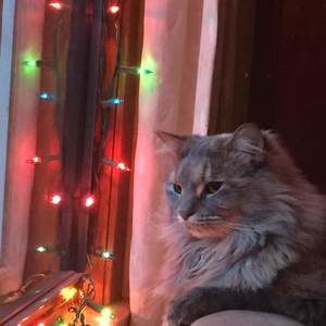 Meet your Posher, Jackie